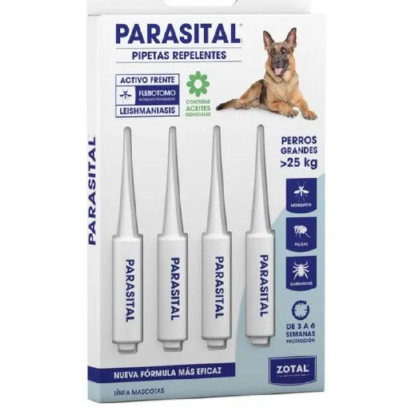 PIPETAS PERROS GRANDES